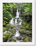 Dickson Falls - NB * 2592 x 1944 * (2.65MB)